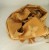 DSC00560.JPG